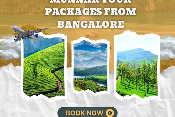 munnar tour packages from bangalore