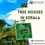 tree houses in kerala
